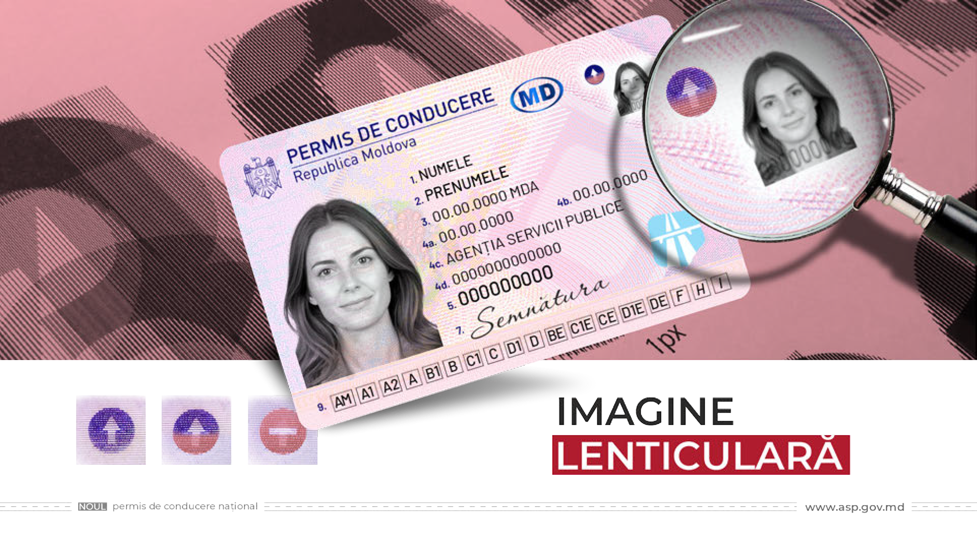 Slide 7